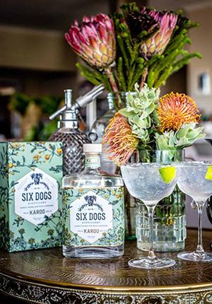 Six Dogs Karoo Gin (75cl) - South Africa - Only Here 4 by HG&S Ltd